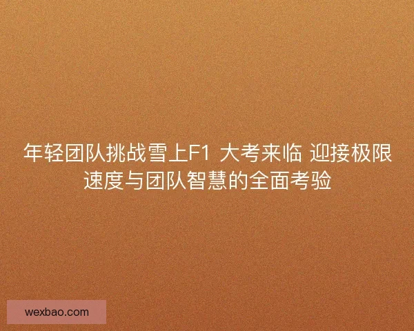 年轻团队挑战雪上F1 大考来临 迎接极限速度与团队智慧的全面考验