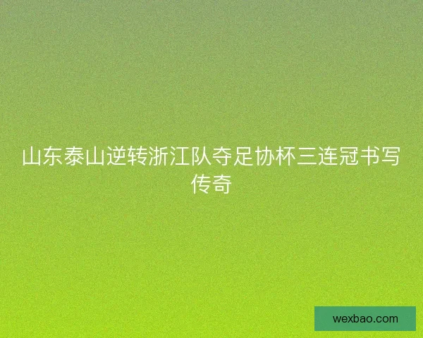 山东泰山逆转浙江队夺足协杯三连冠书写传奇